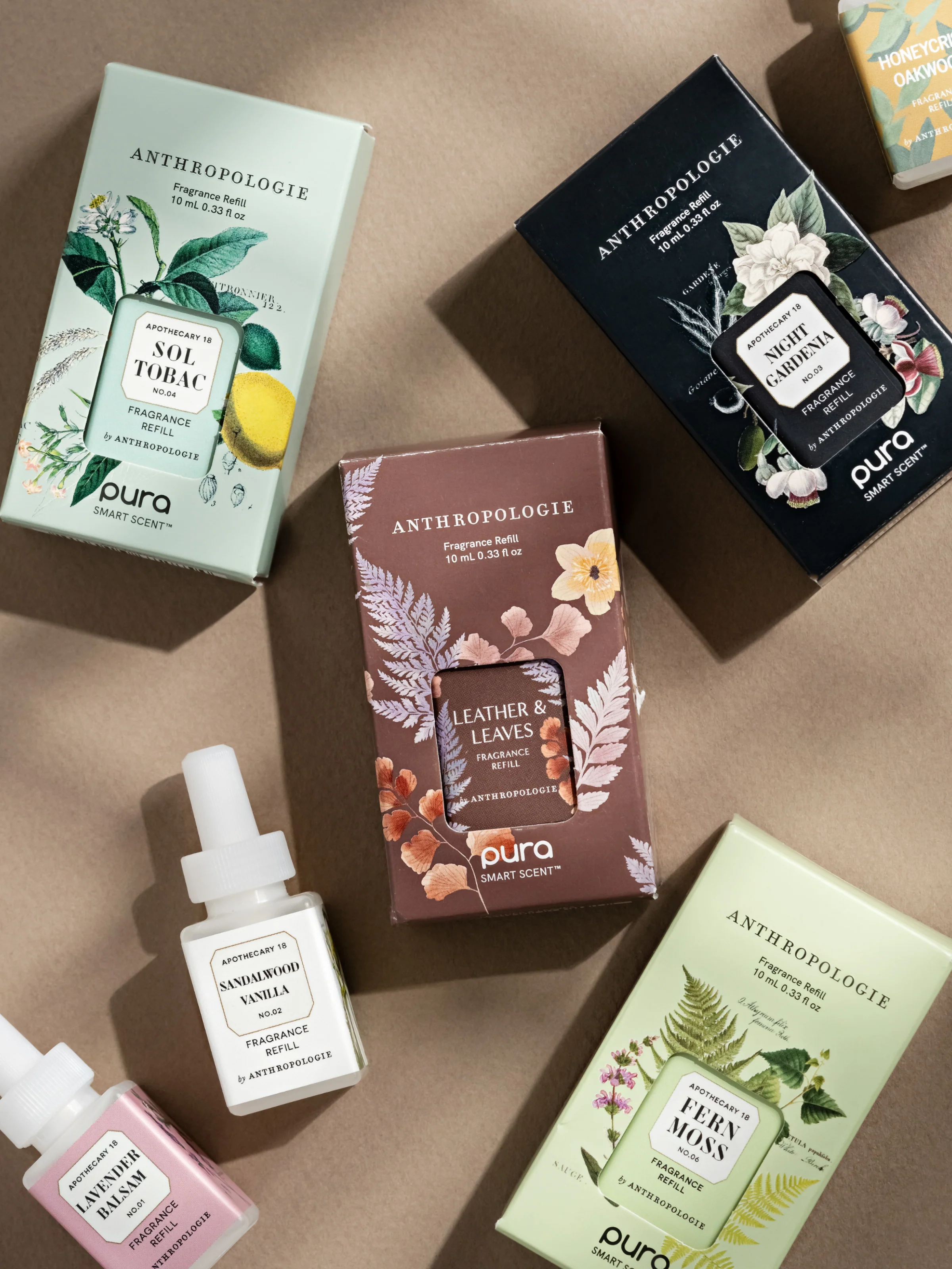 Anthropologie - Image 2