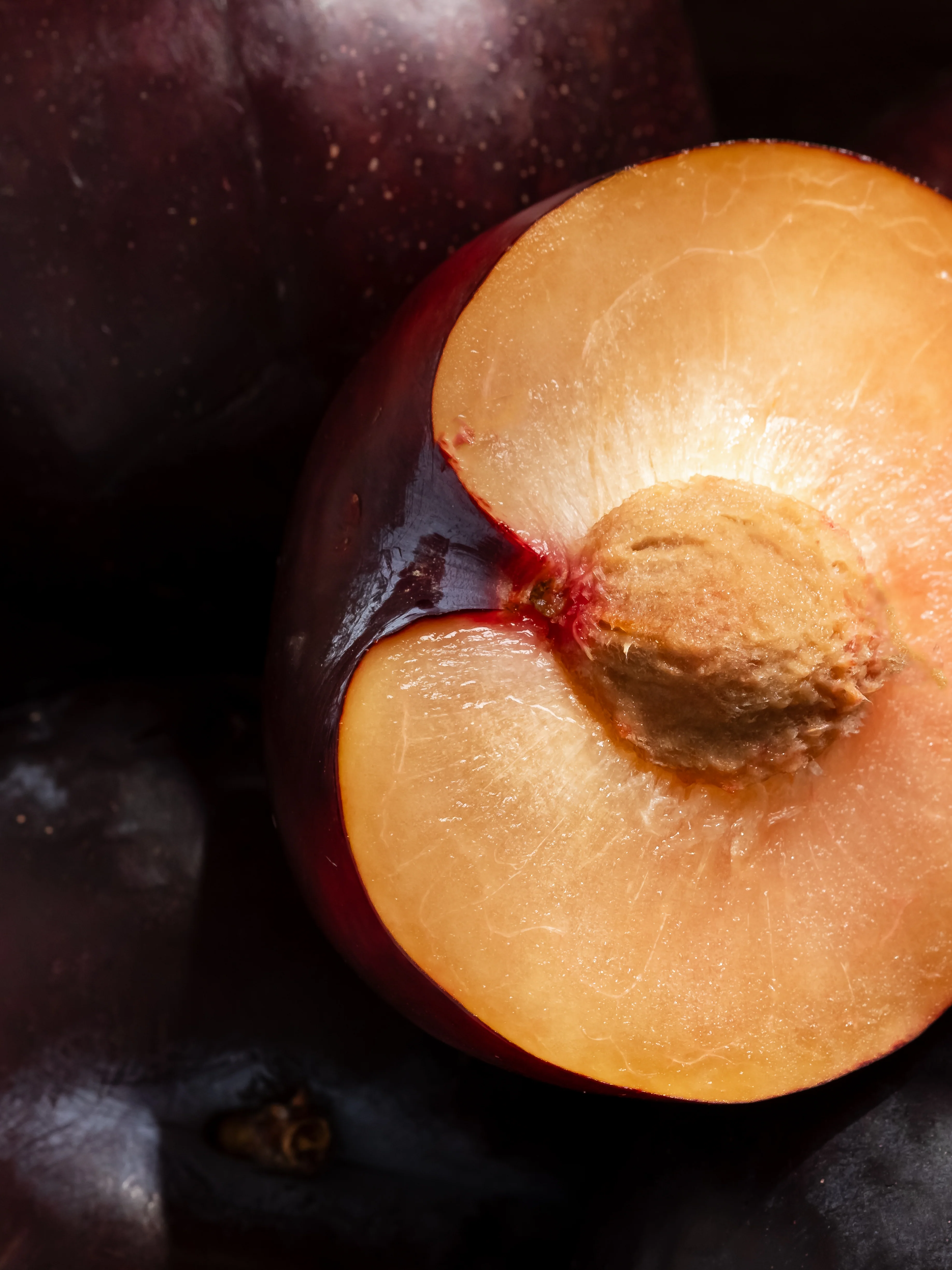 Autumn Plum - Image 2