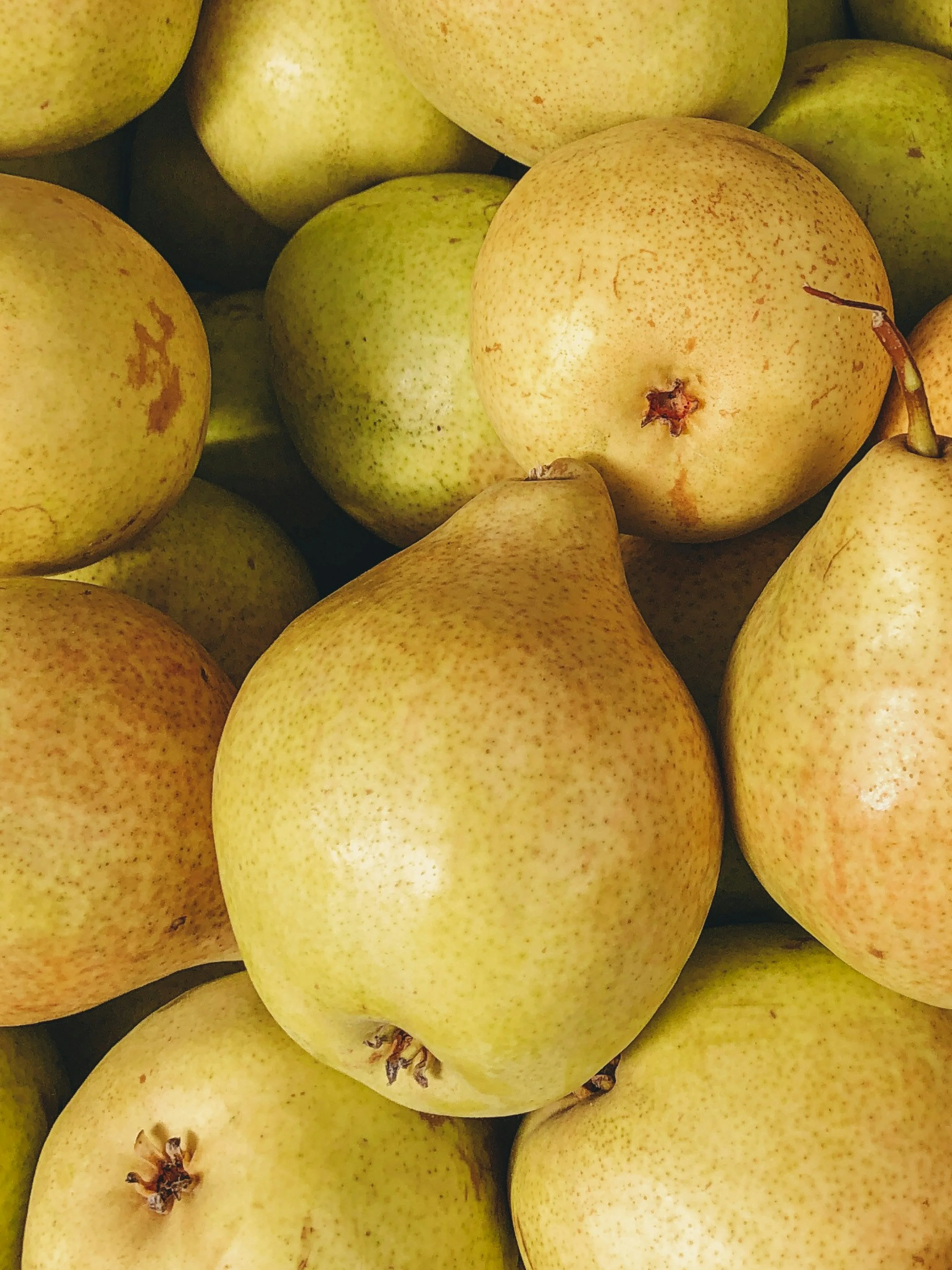 Cashmere Pear - Image 2