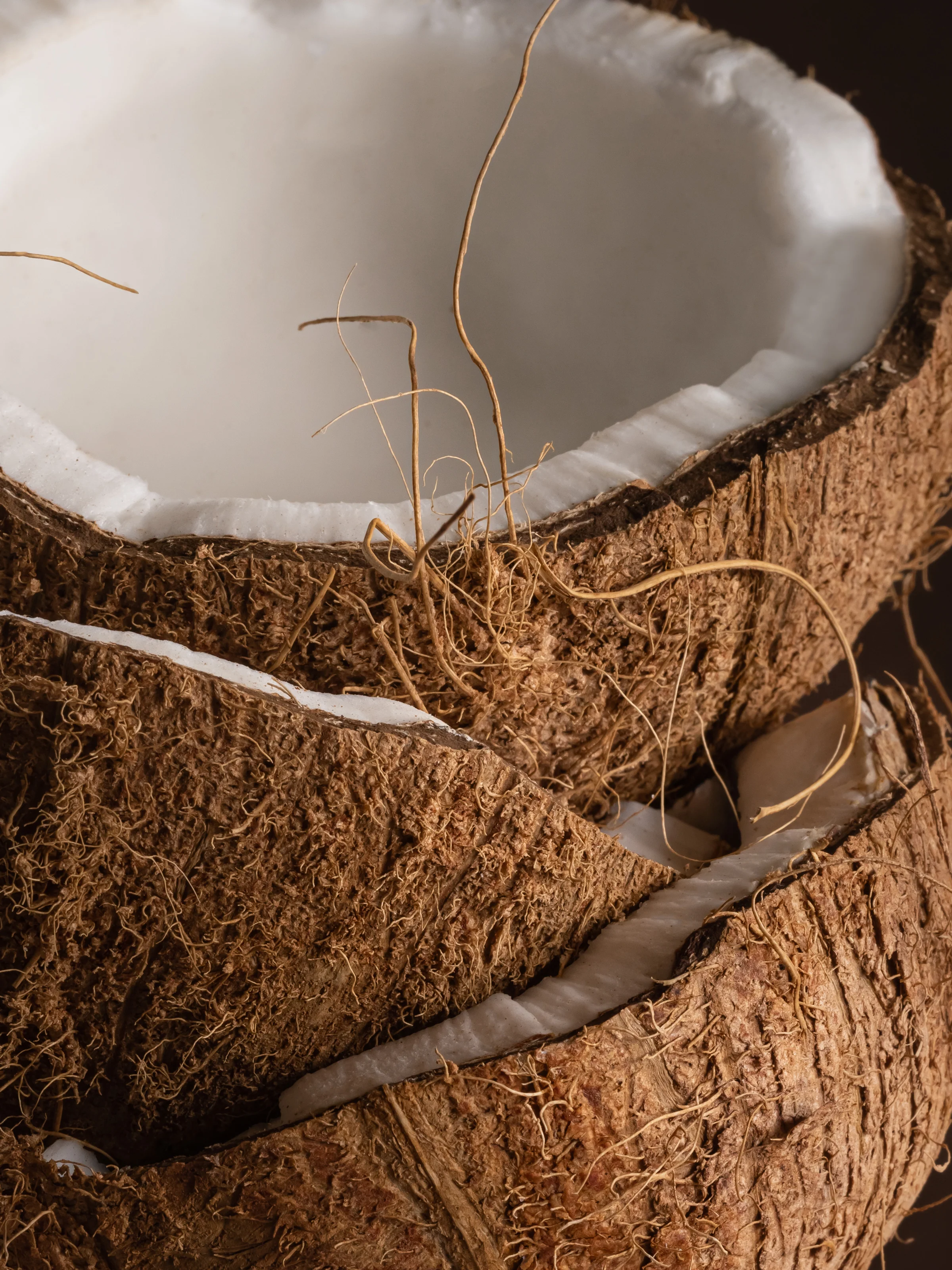 Coconut & Palm - Image 2