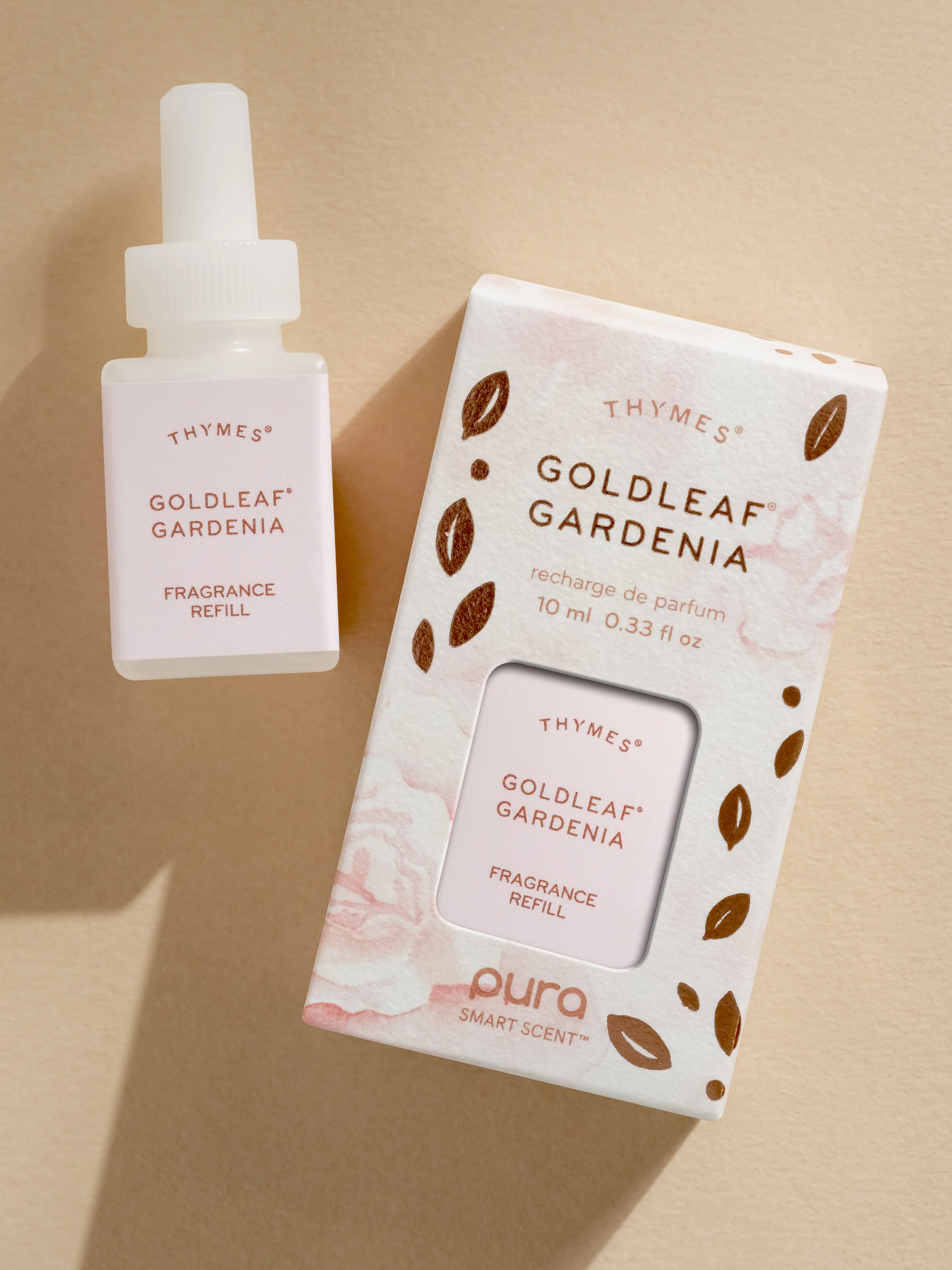 Goldleaf Gardenia﻿ - Image 4