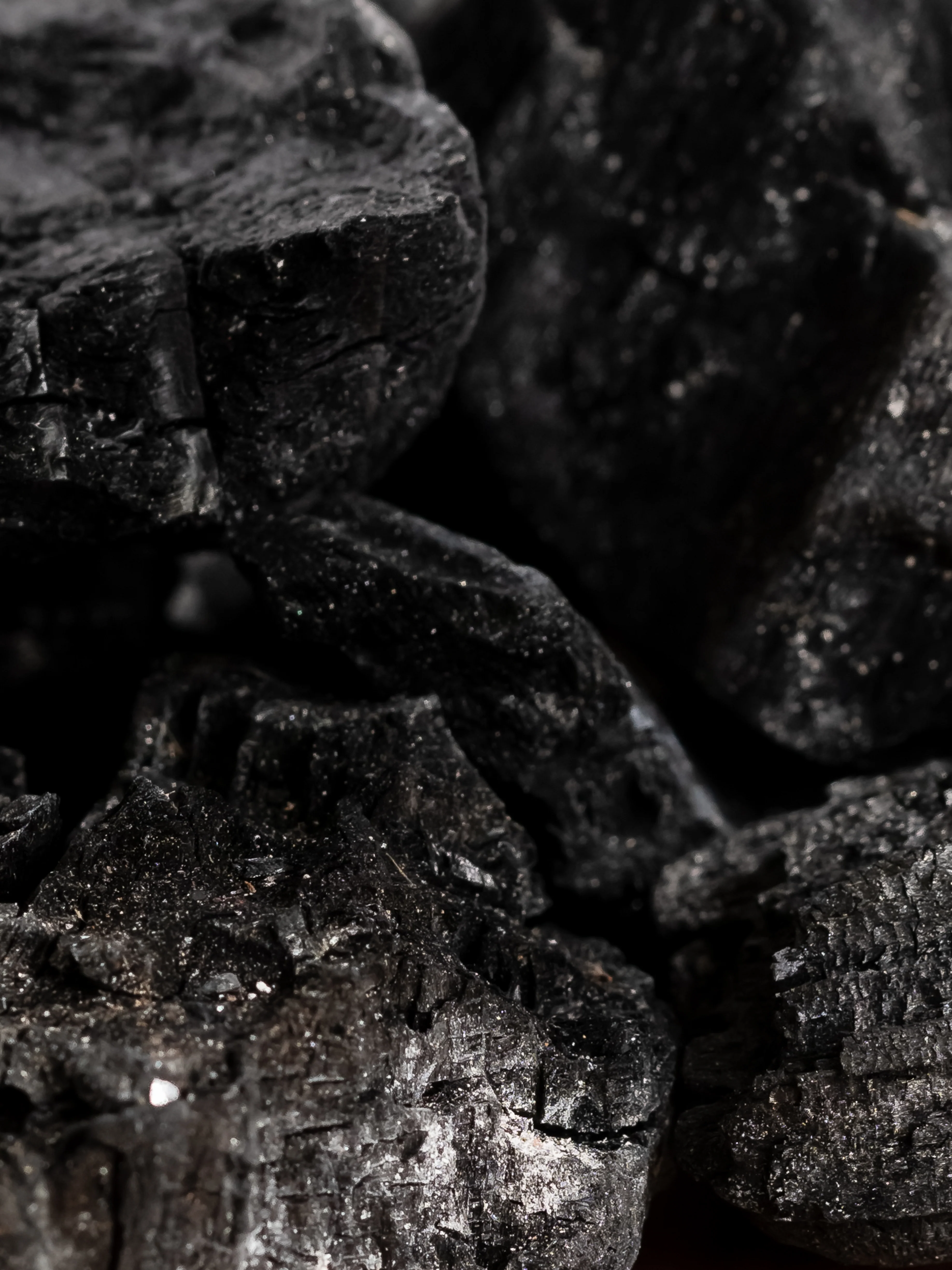 Kindling - Image 2