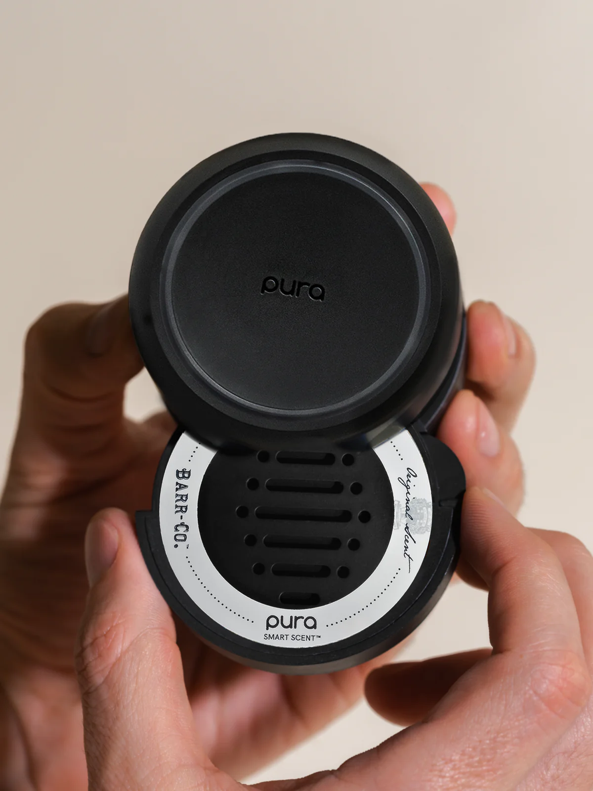 Original Scent - Image 3