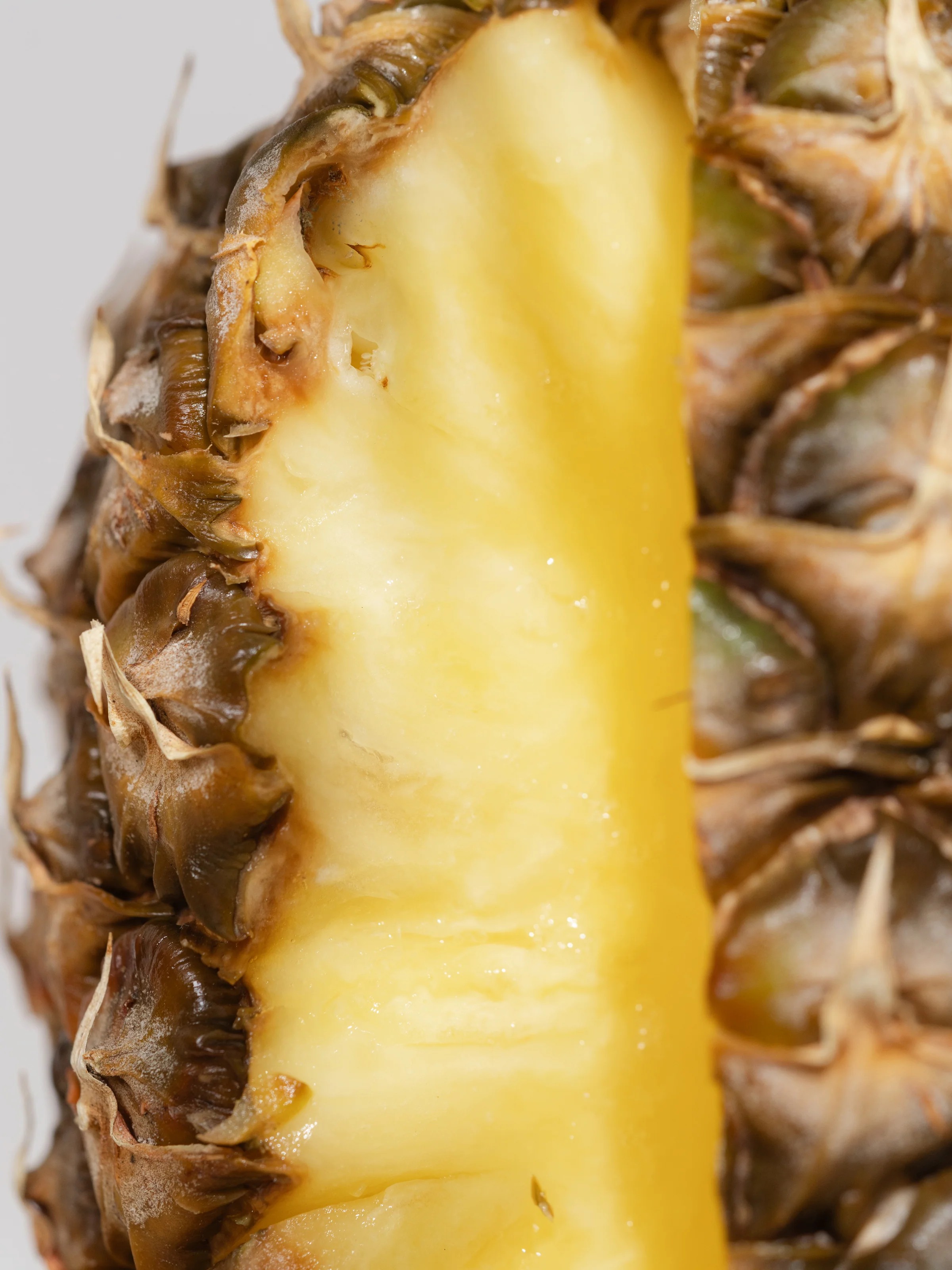 Pineapple Flower - Image 2