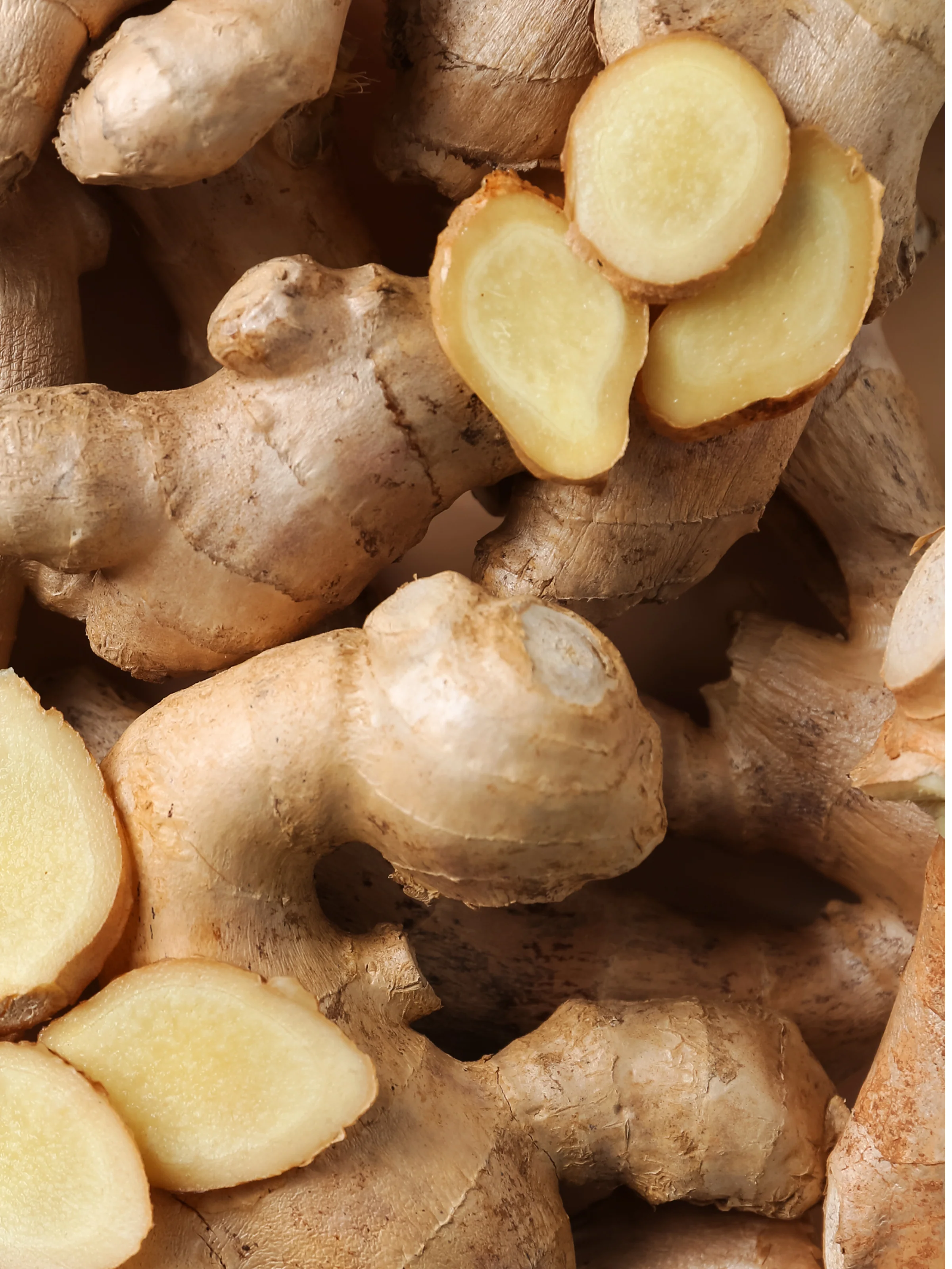 Pumpkin Ginger - Image 2