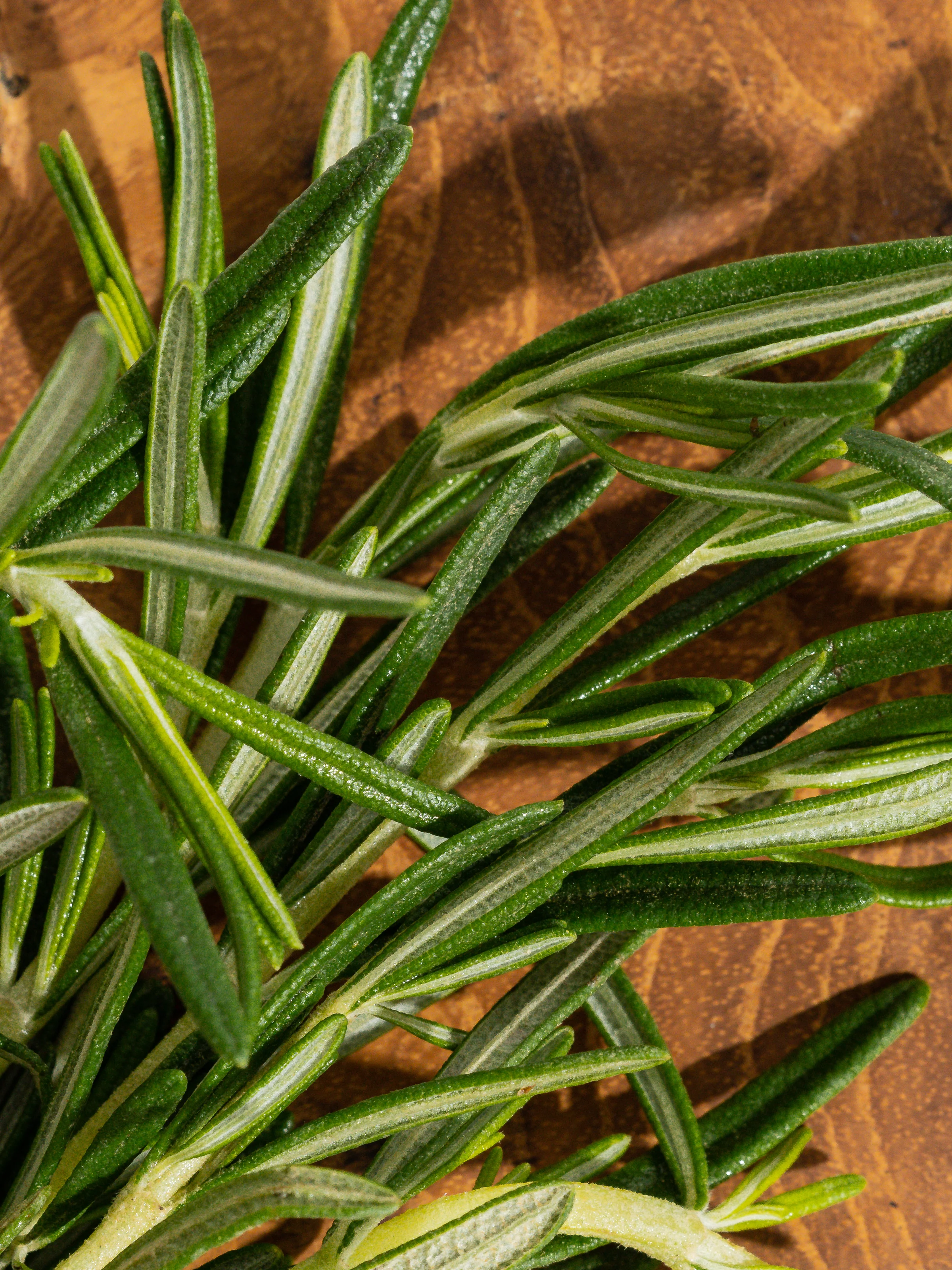 Rosemary Eucalyptus - Image 2