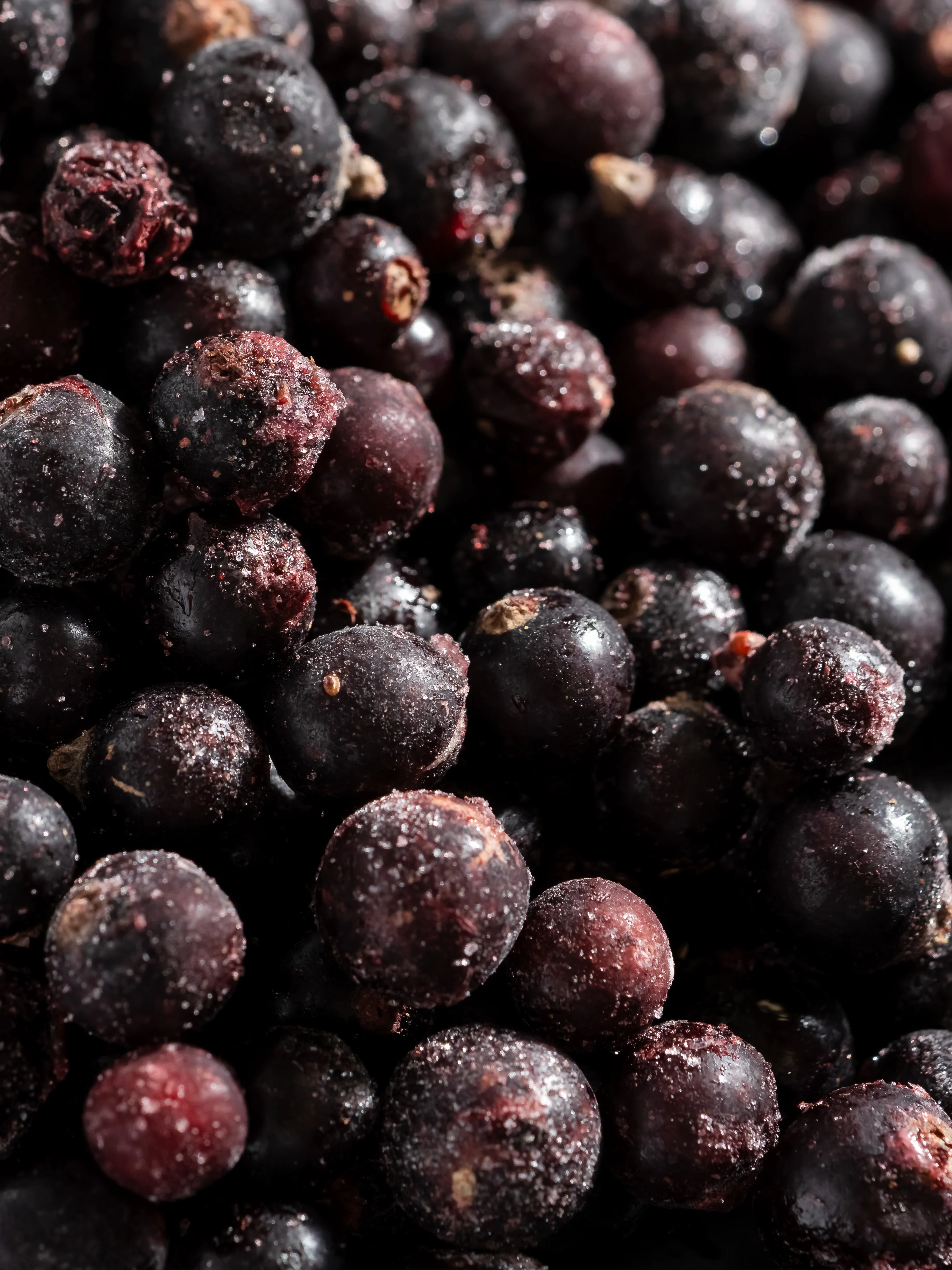 Sparkling Currant - Image 2