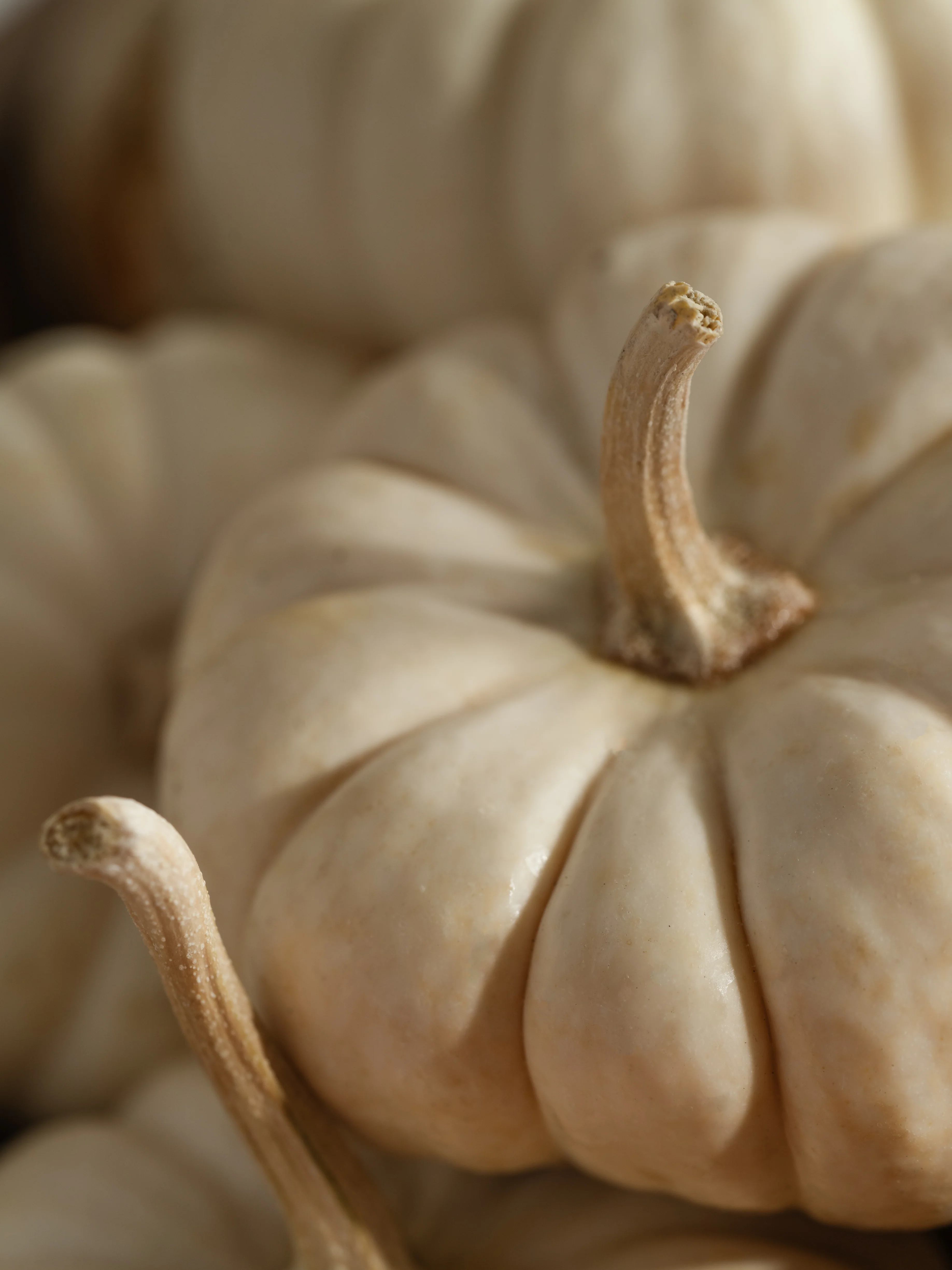 White Birch & Pumpkin - Image 2