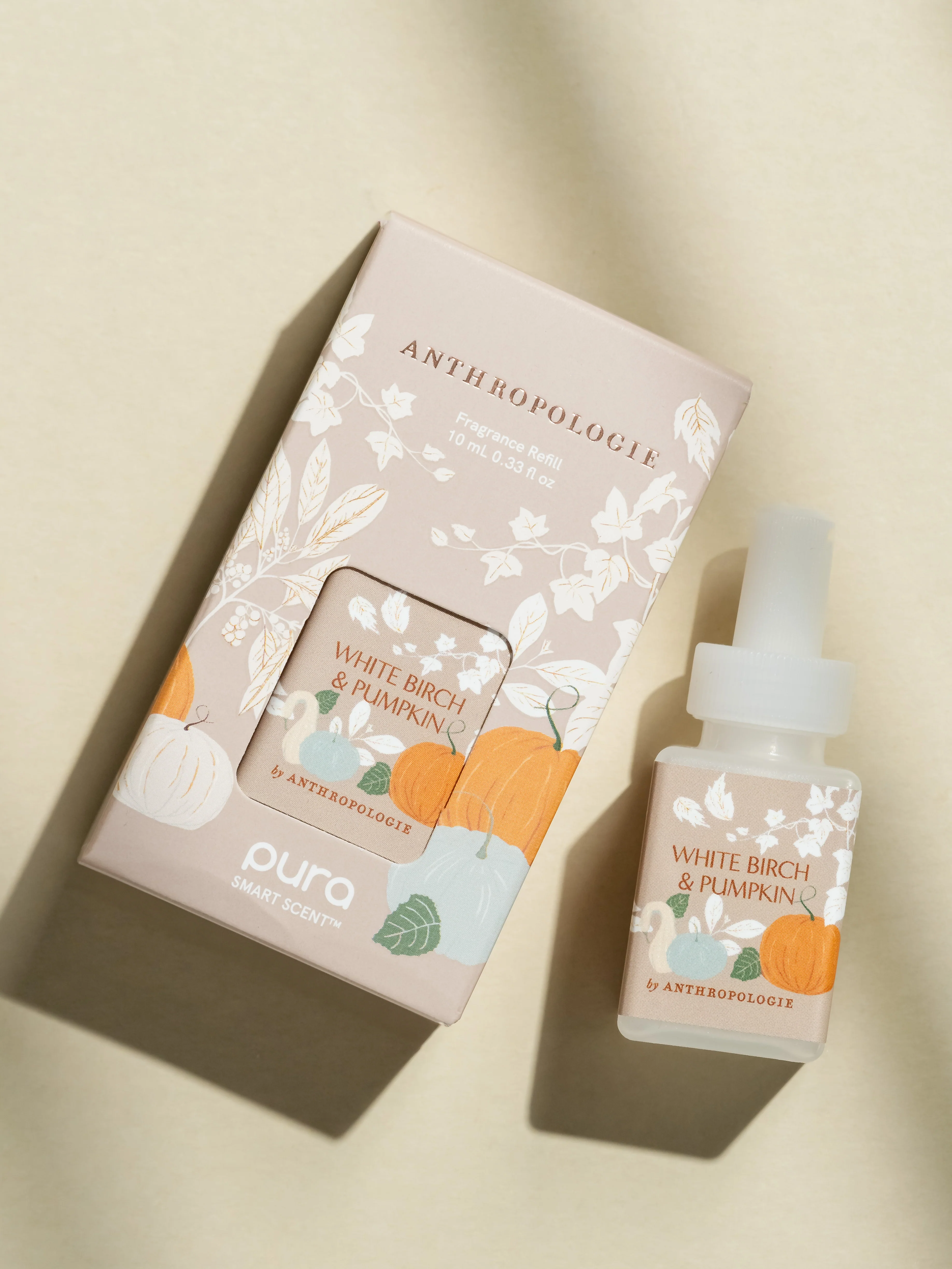 White Birch & Pumpkin - Image 4