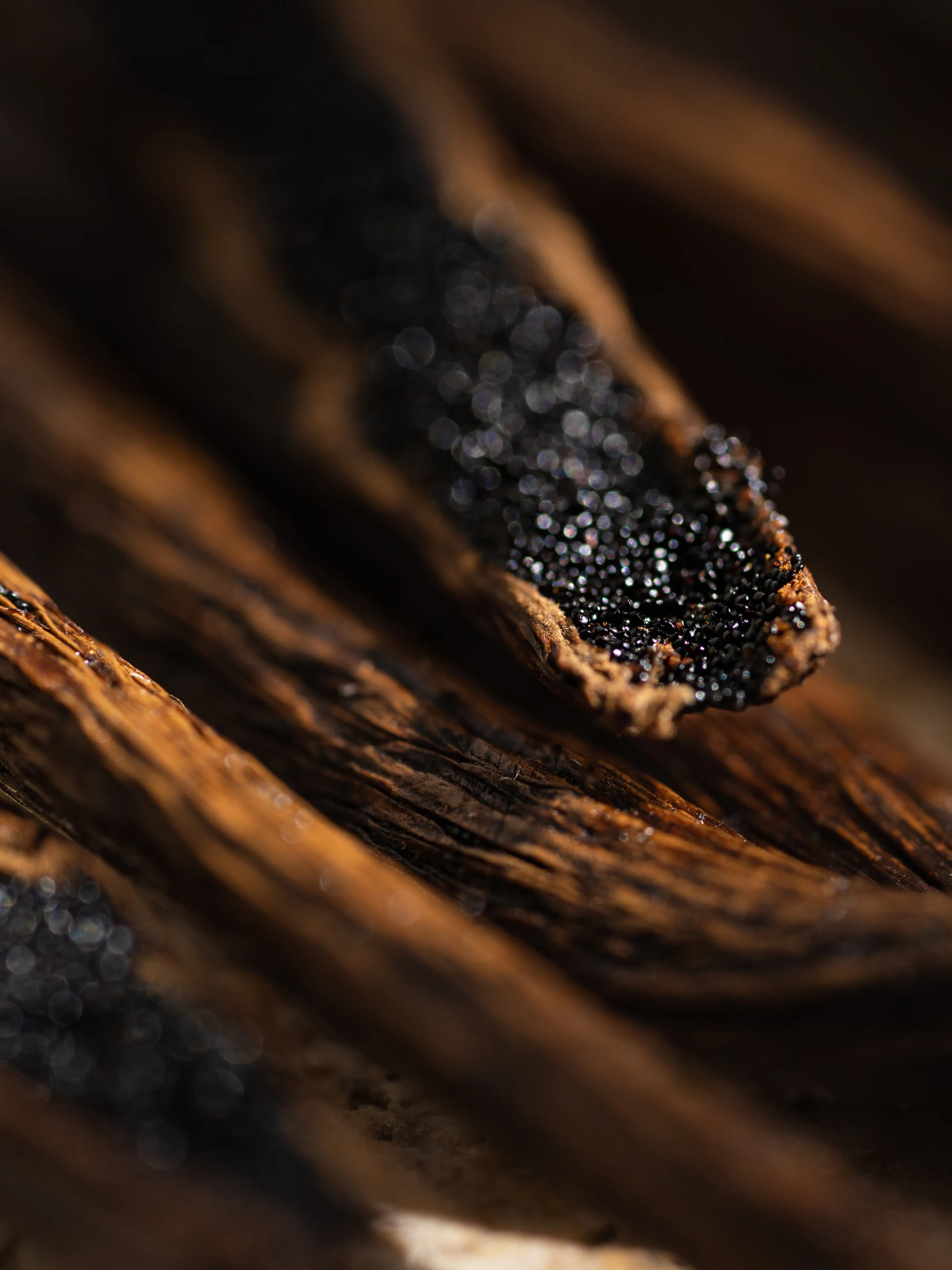 White Maple Bourbon - Image 2