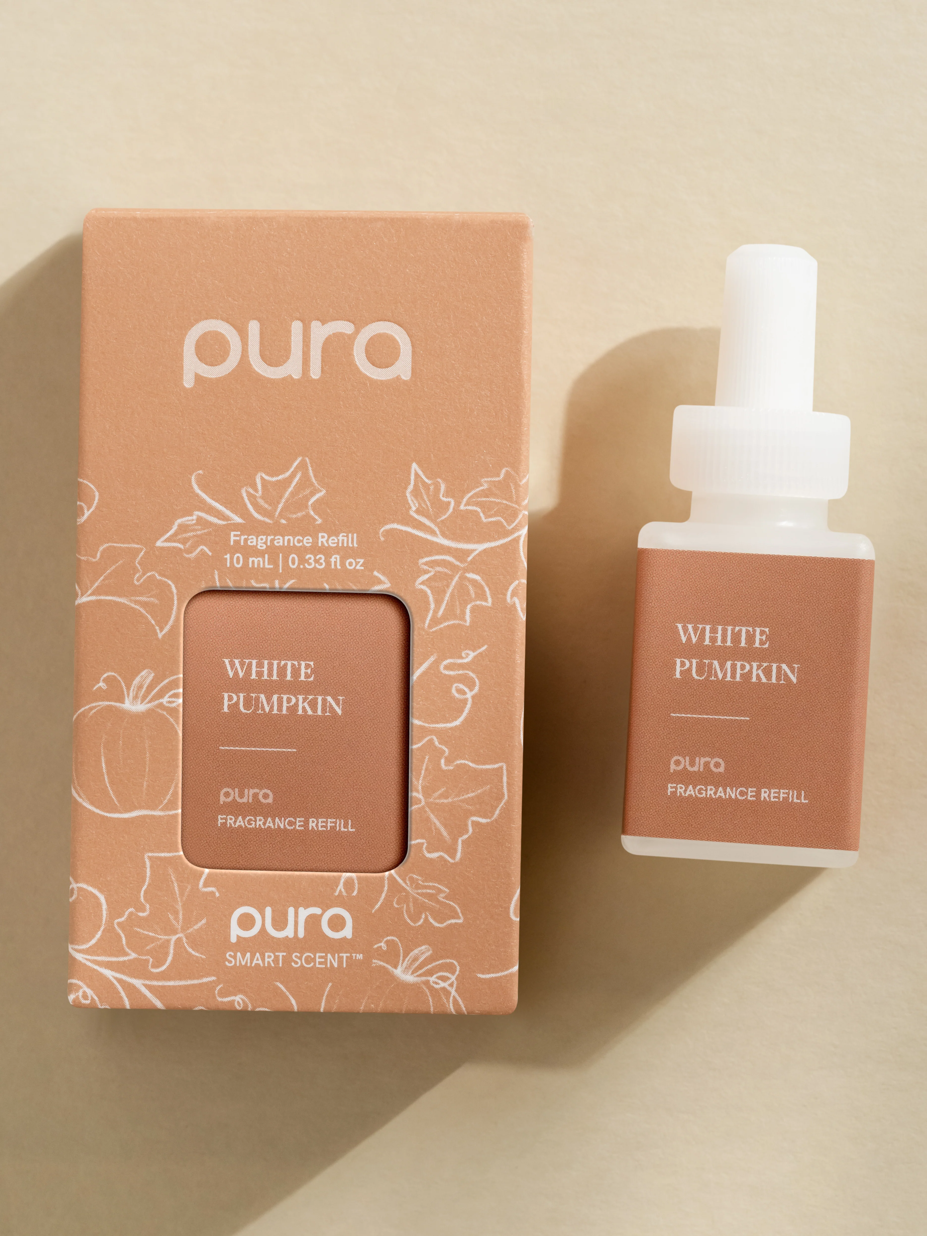 White Pumpkin - Image 4